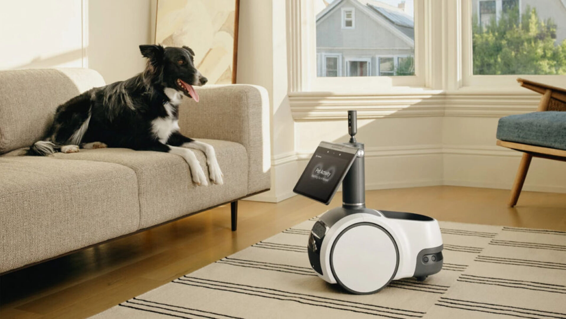 Tecnologia para criar seu pet em casa: o que realmente vale a pena comprar, o que ajuda de verdade e o que só faz você gastar errado em 2026